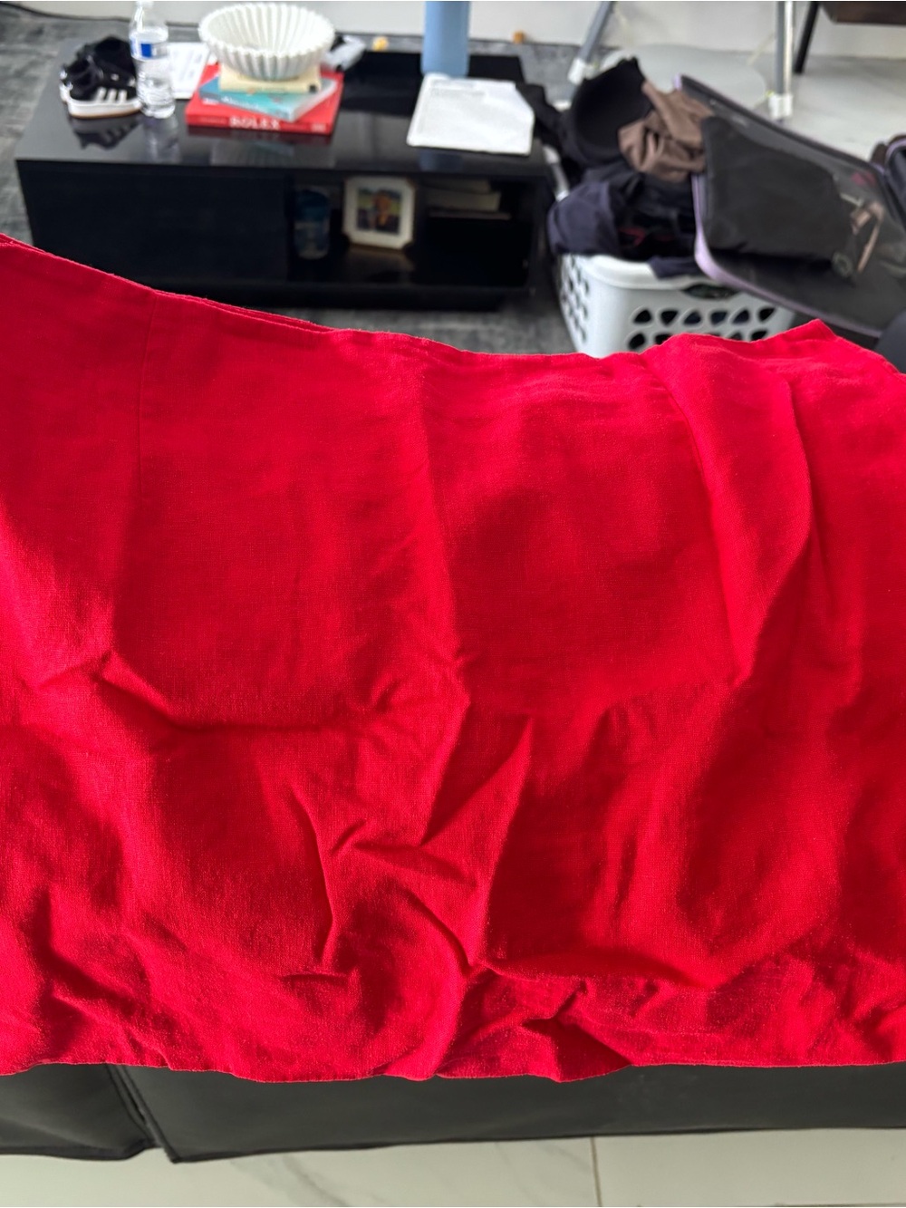 Express Red Mini Skirt